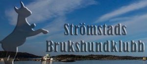 Strömstad bk logo