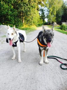 Uma & Bark flåsar ut
